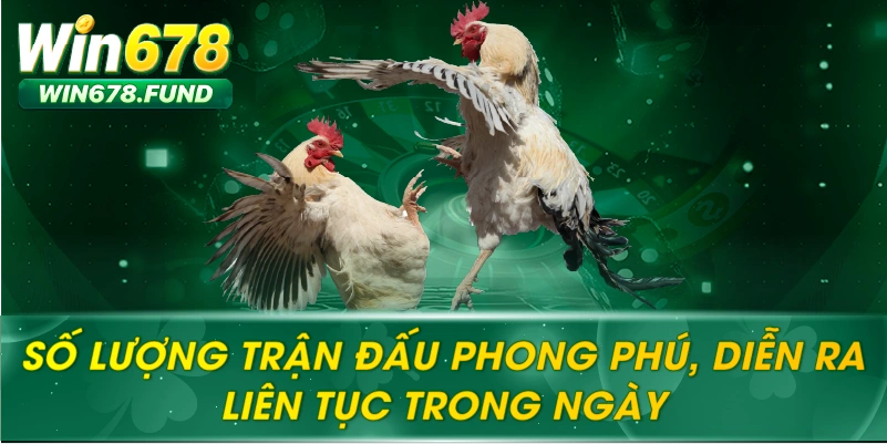 Số Lượng trận đấu phong phú, diễn ra liên tục trong ngày